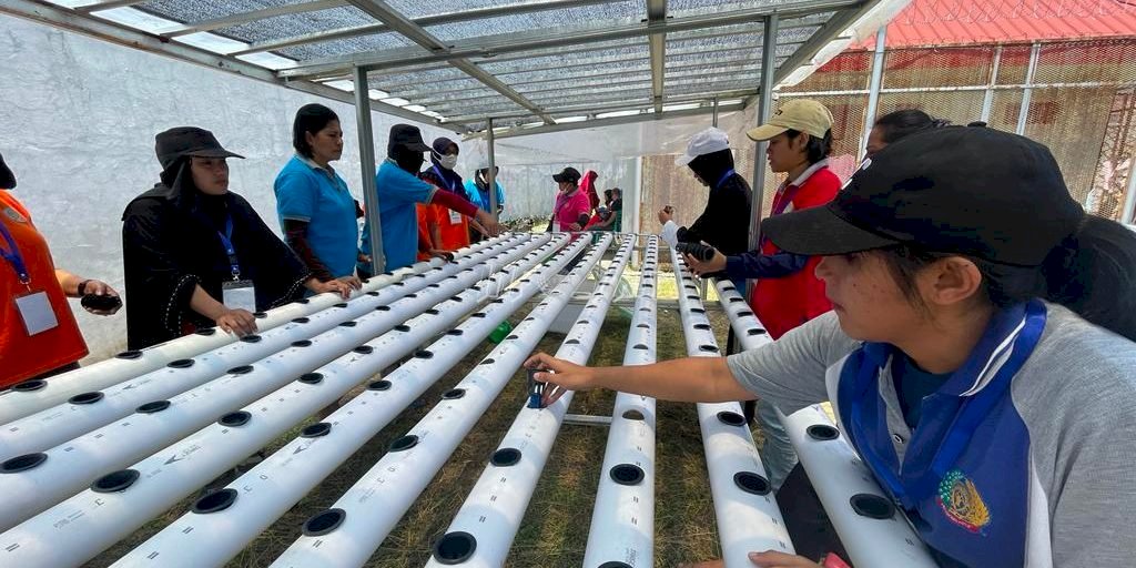 WBP LPP Ambon Ikuti Kegiatan Pelatihan Kemandirian Bidang Agribisnis Hidroponik