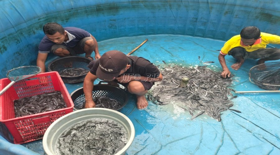 Ini Bukti Terampilnya Warga Binaan Lapas Narkotika Karang Intan