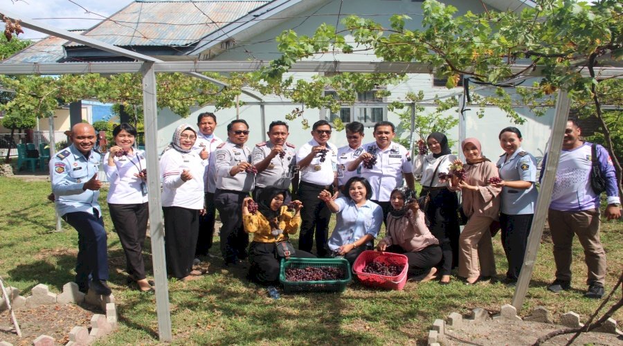 Kakanwil Kemenkumham Sulteng Panen Anggur di Rupbasan Palu