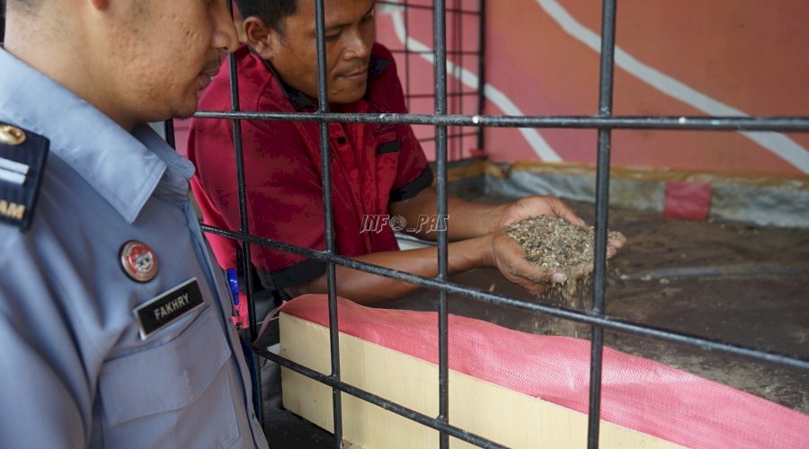 Lapas Medan Penen 5 Kg Maggot Sampah Organik