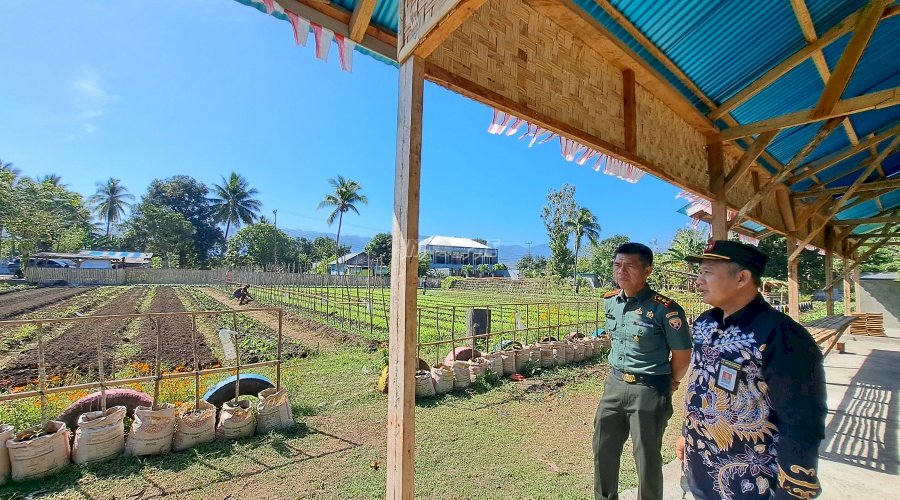 Kebun SAE Warga Binaan Lapas Kalabahi Kedatangan 2 Tamu Istimewa