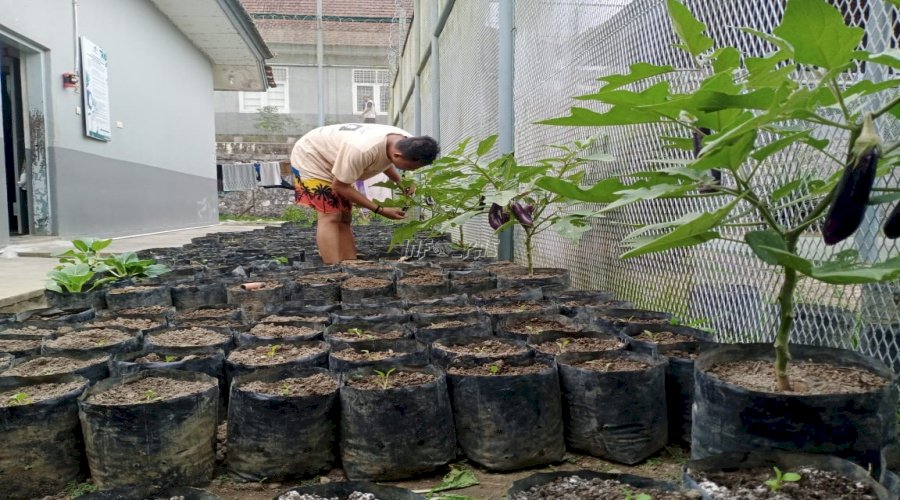 Cegah Gangguan Kamtib, Lapas Tanjungpandan Hijaukan Blok Hunian