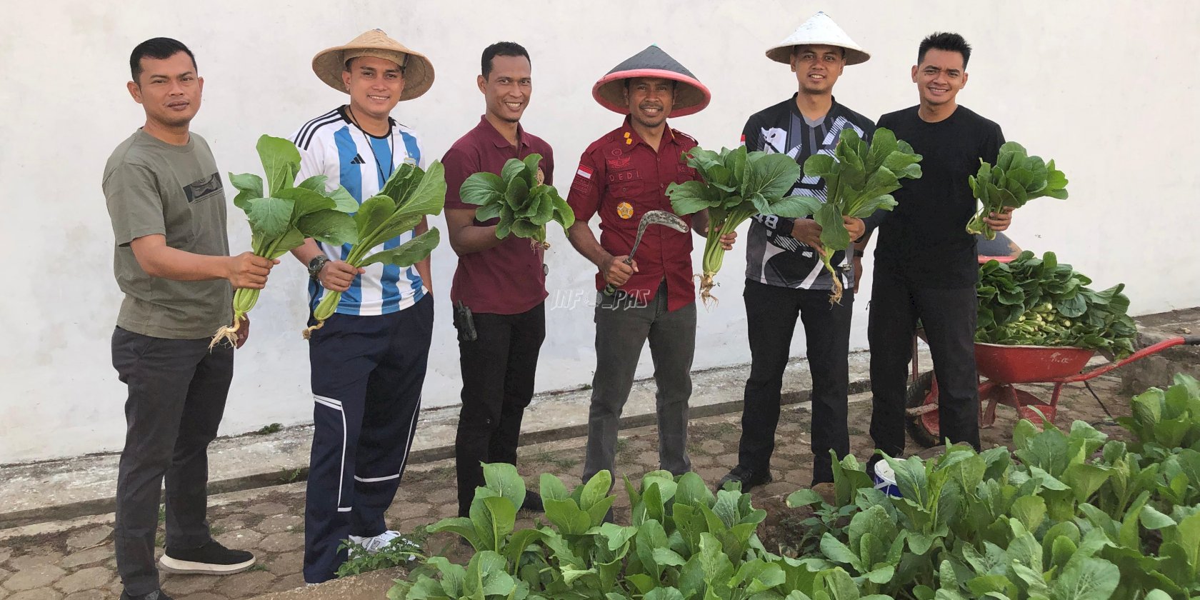 Lapas Cilacap Panen 200 Kg Caisim, Bukti Keberhasilan Pembinaan di Lapas