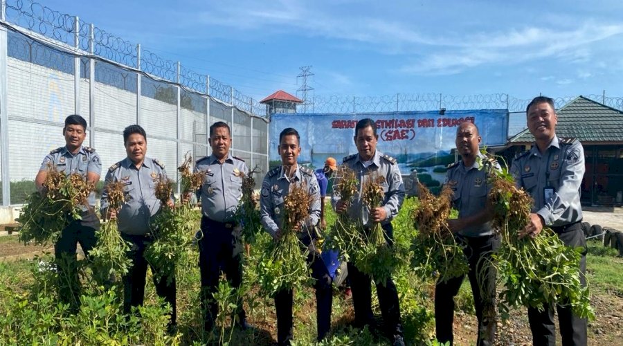 Warga Binaan Makin Produktif, Lapas Banjarbaru Kembali Panen 100 Kg Kacang Tanah