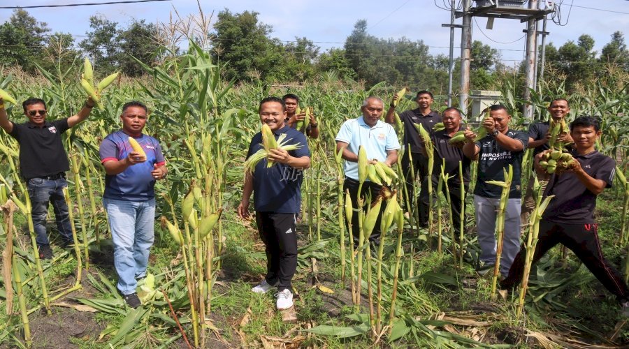 Lapas Palangka Raya Panen Perdana Jagung di Lahan SAE