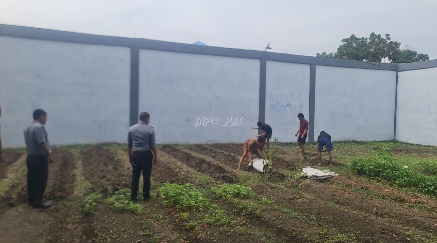 Inovasi Pertanian, LPKA Medan Bekali Anak Binaan dengan Kemampuan Agrosociopreneur