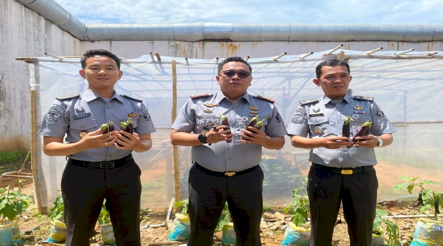 Rutan Bengkulu Panen Terong Panjang, Dukung Ketahanan Pangan dan Pembinaan Warga Binaan