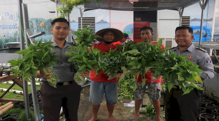 Lapas Pemuda Madiun Kembali Panen Kangkung dengan Sistem Hidroponik