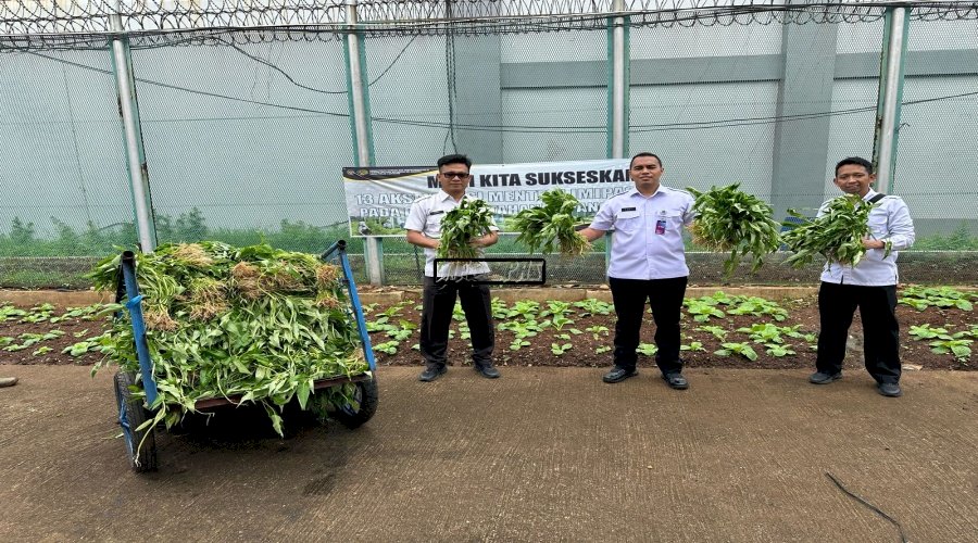 Lapas Cipinang Kembali Panen, Program 'Napi Berkebun' Cetak Warga Binaan Mandiri
