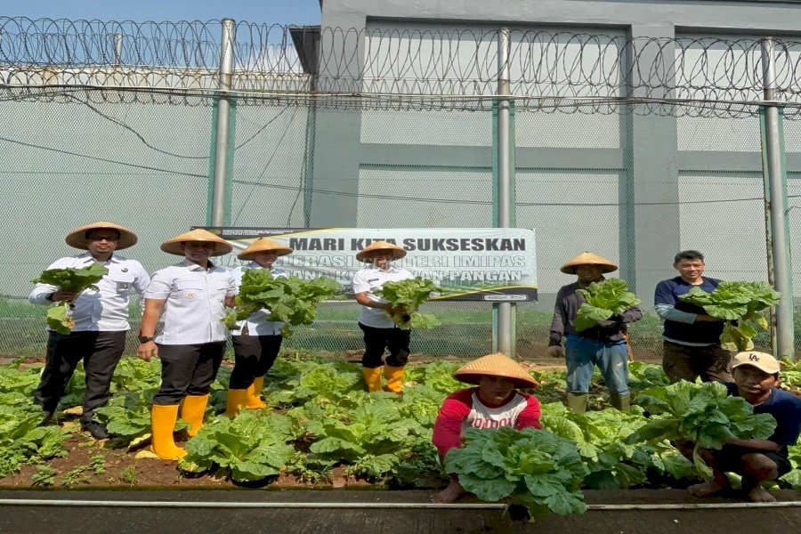 Dukung Ketahanan Pangan Nasional, Lapas Cipinang Panen Berbagai Sayuran
