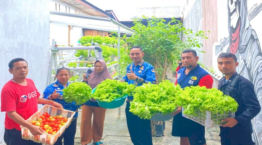 Lapas Wahai Panen Sayur Selada, Sita Perhatian Masyarakat Sekitar