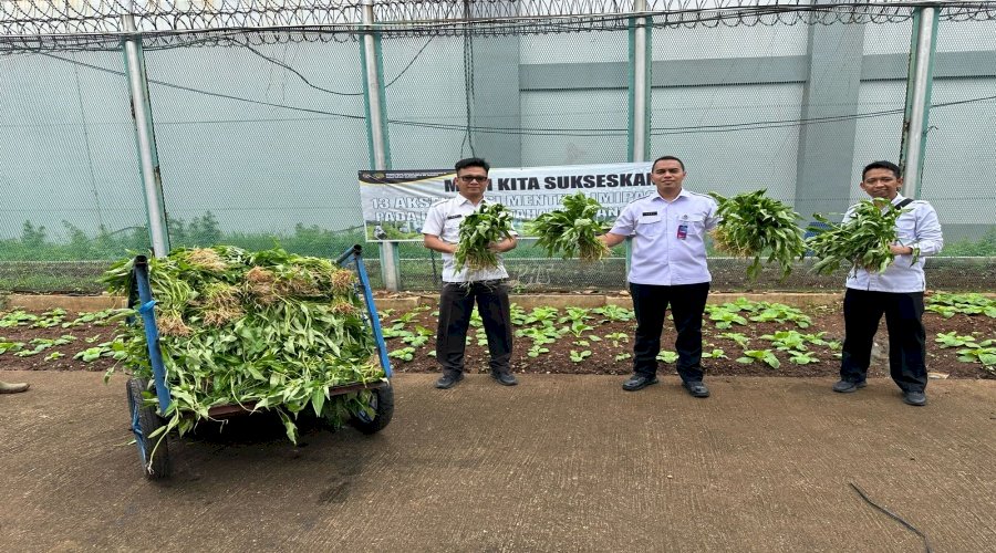 Program Napi Berkebun, Lapas Cipinang Panen Aneka Sayuran