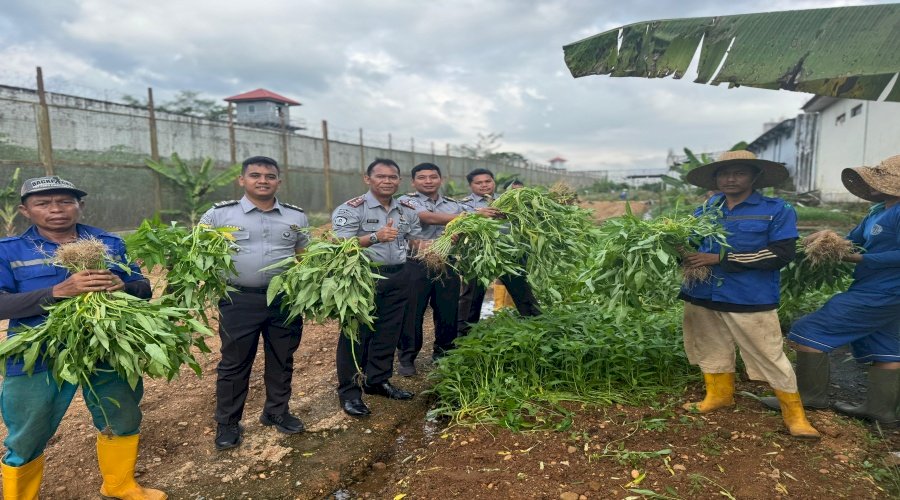 Kalapas Banjarbaru Panen Kangkung dan Tanam Klengkeng bersama Jajaran dan Warga Binaan