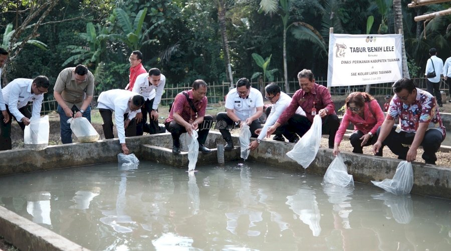 Sinergi dengan Dinas Perikanan Kab. Tabanan, Kalapas Tabanan Tabur Ribuan Benih Ikan