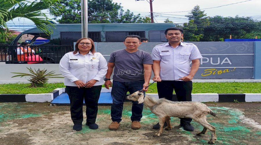 Lapas Perempuan Ambon Terima Hewan Kurban dari Pemprov Maluku, Pemkot Ambon, dan PLN Kota Ambon
