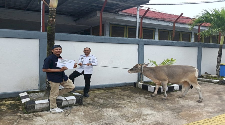 Berkah Iduladha, Lapas Ambon Terima Sumbangan Hewan Kurban