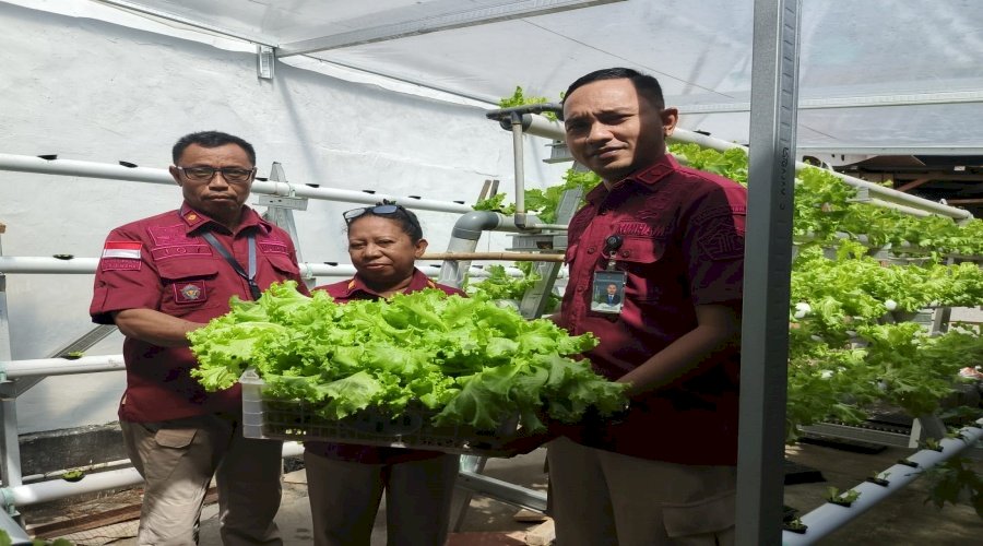 Inovasi Vertikultur Lapas Wahai, Bukti Dukung Ketahanan Pangan bagi Masyarakat Sekitar