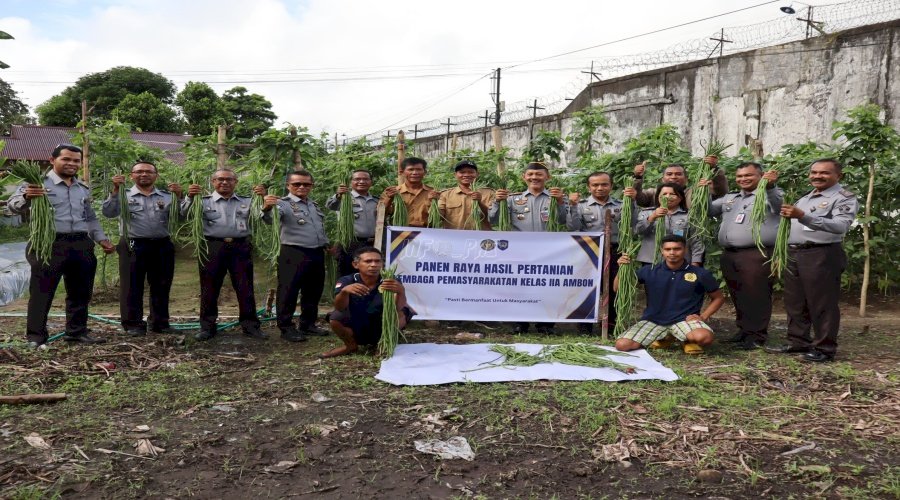Gandeng BPTPNP, Lapas Ambon Sukses Panen Raya 25 Kg Kacang Panjang