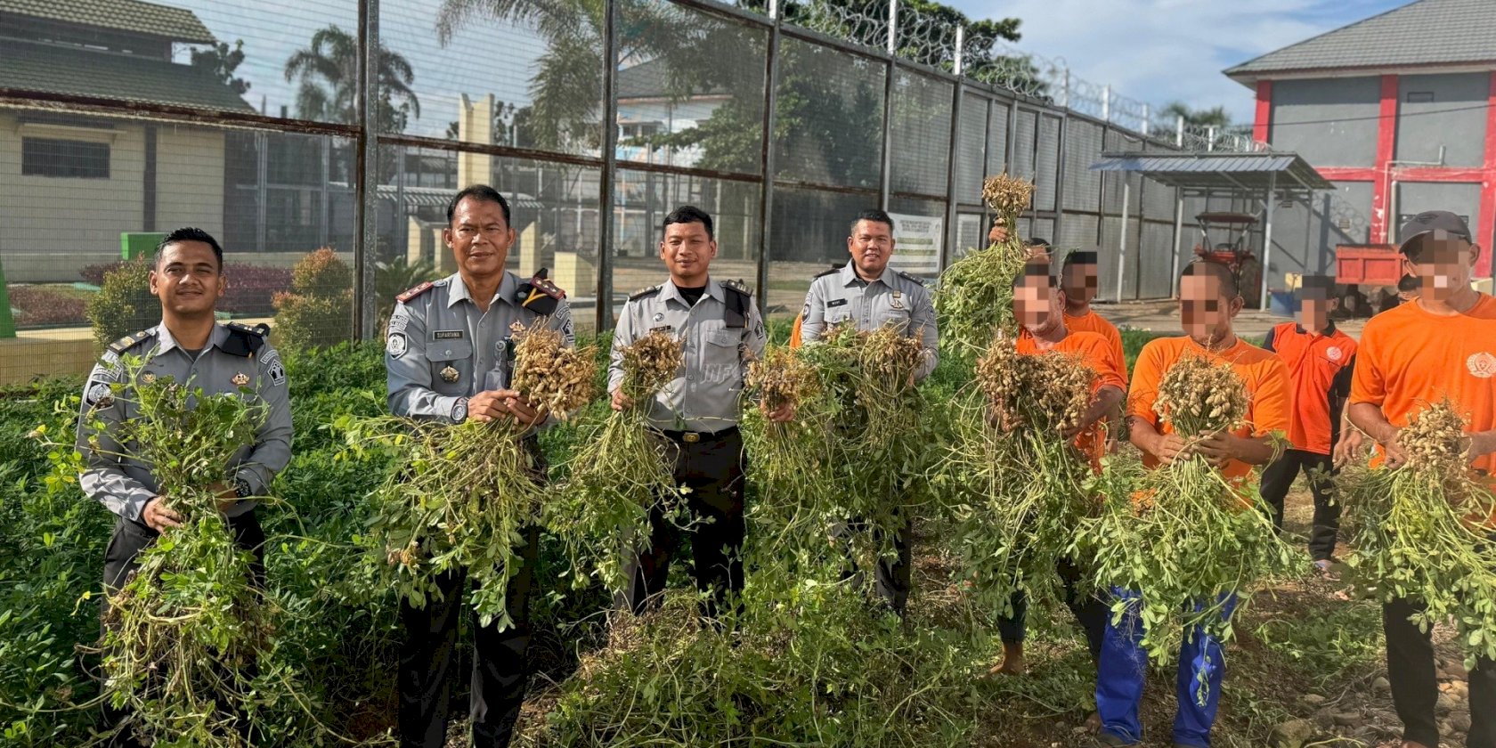 Lapas Banjarbaru Panen 100 Kg Kacang Tanah Hasil Budidaya Warga Binaan