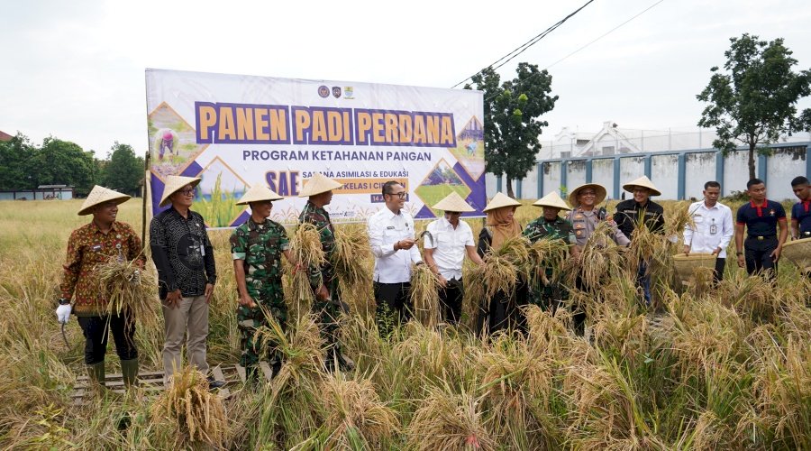 Lapas Cirebon Panen Perdana Padi dan Ikan Nila di Lahan SAE