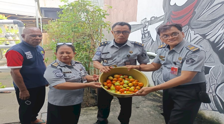 Lapas Wahai Sukses Panen Tomat Apel, Dorong Kemandirian dan Ketahanan Pangan