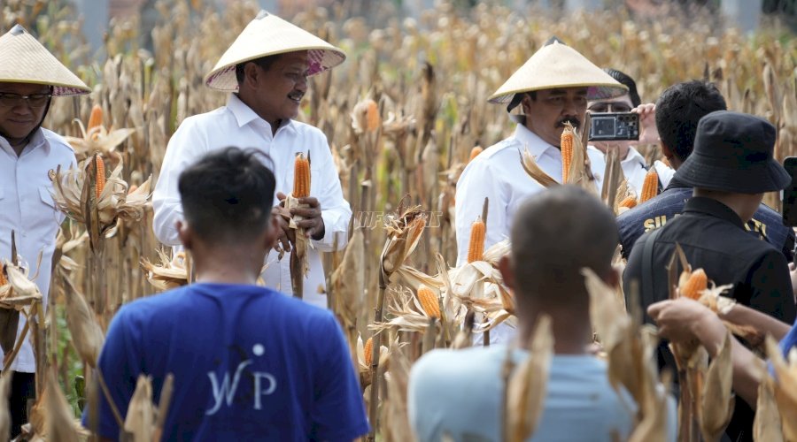 Menimipas Dorong Warga Binaan Dapatkan Manfaat dari Program Ketahanan Pangan