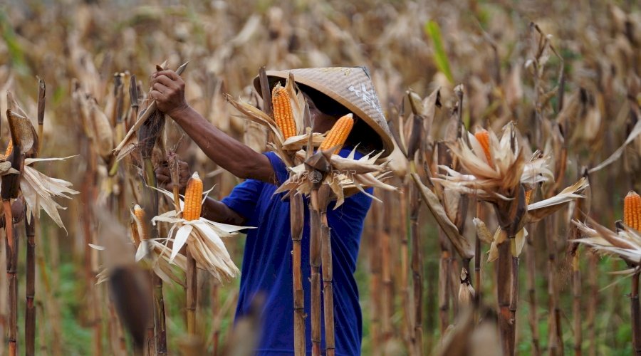 Rutan Kebumen Dukung Program Ketahanan Pangan, Pastikan Warga Binaan Dapat Manfaatnya