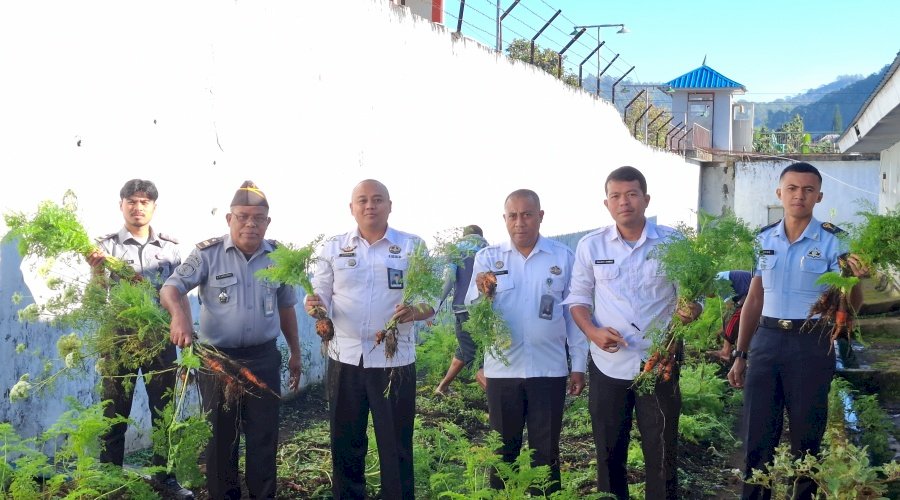 Rutan Bajawa Panen Wortel, Manfaatkan Budidaya di Branggang Rutan