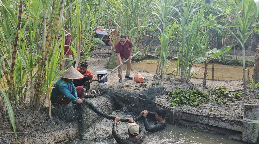 Dalam Lima Bulan, Lapas Muara Tungkal Sukses Panen 708 Kg Ikan