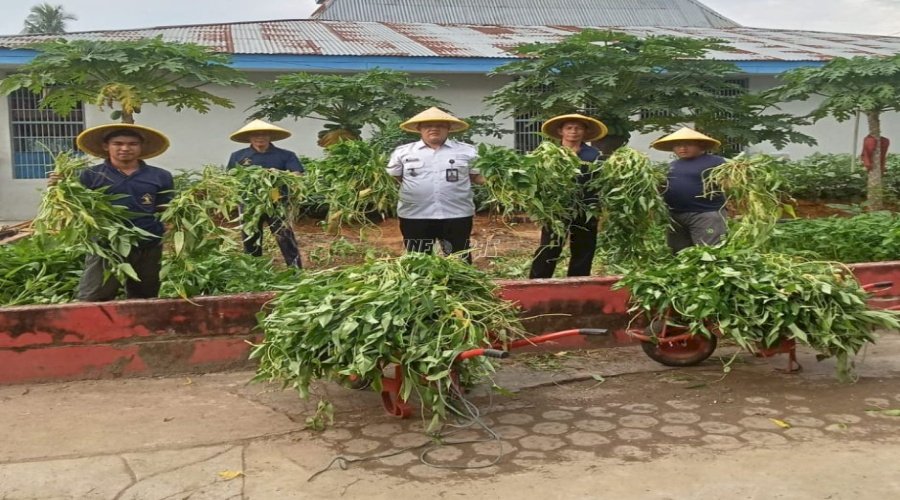 Lapas Jambi Panen Kangkung 300 Kebat