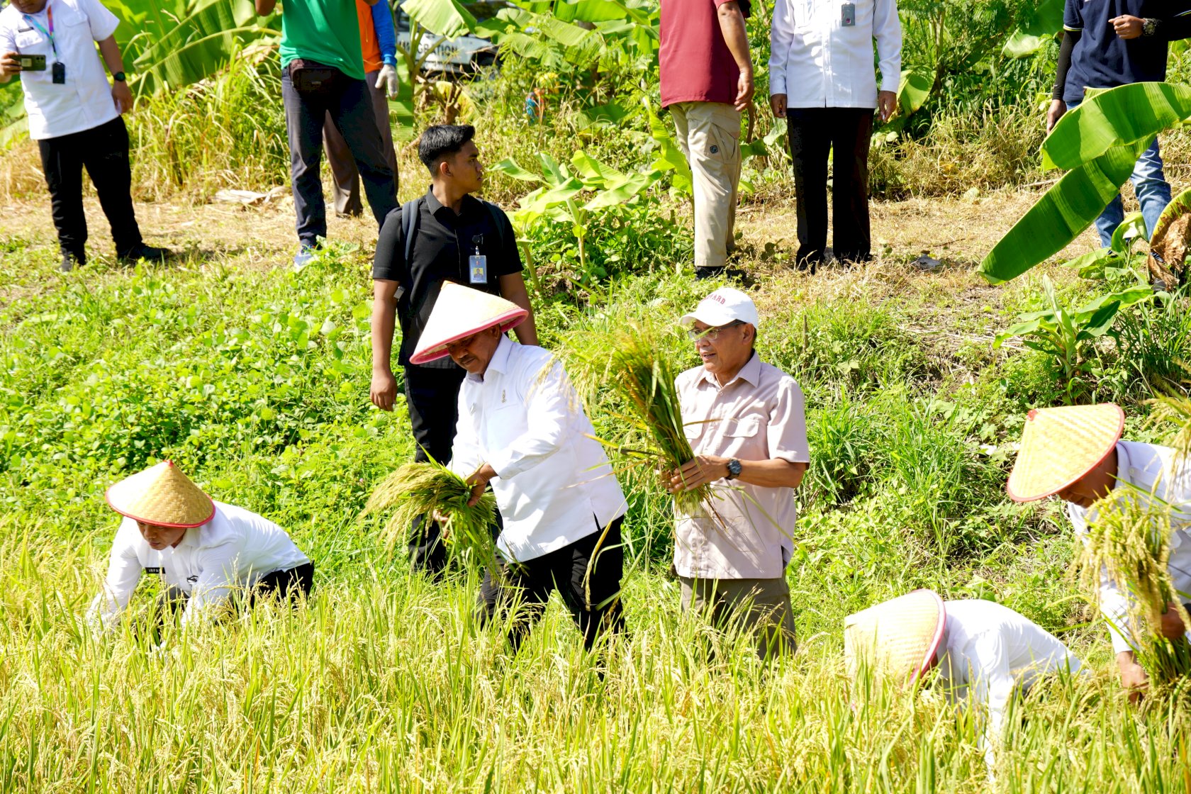 Dirjenpas Tinjau Pembangunan BLK dan Panen Padi di Nusakambangan