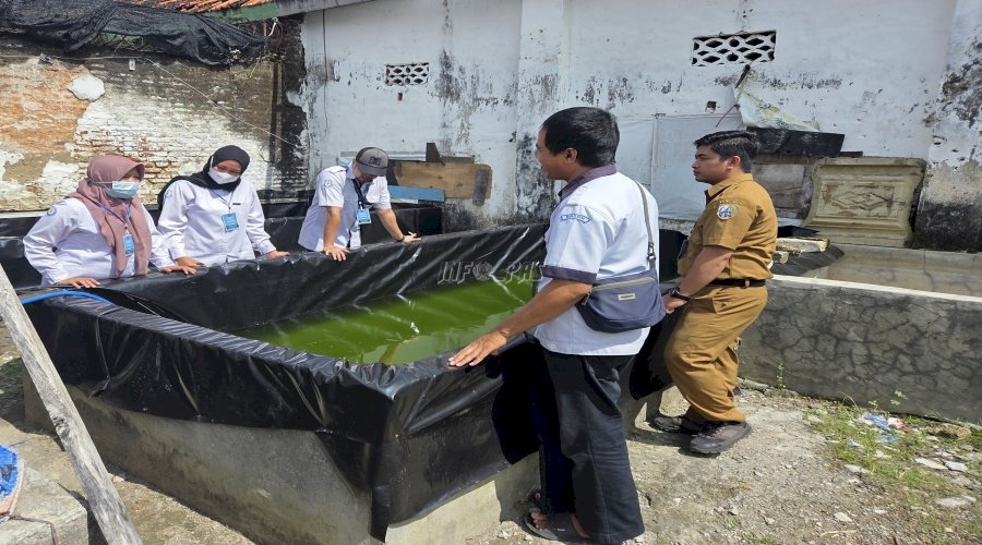 Bersama Dinas Perikanan dan Kelautan Kab. Sampang, Rutan Sampang Maksimalkan Budidaya Lele