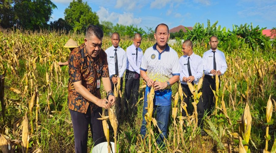 Lapas Pangkalpinang Panen 127 Kg Jagung Pipil ‘Si Biji Emas‘