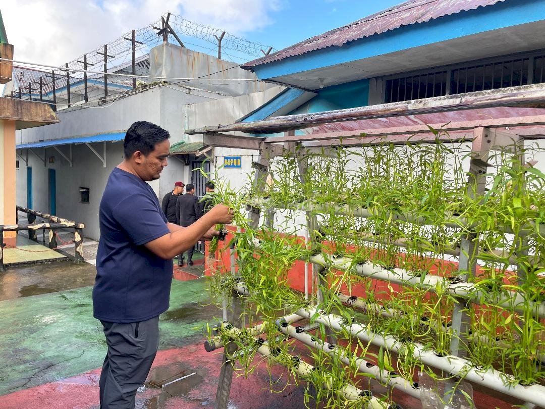 Panen Hidroponik, Rutan Ambon Cetak Warga Binaan Mandiri