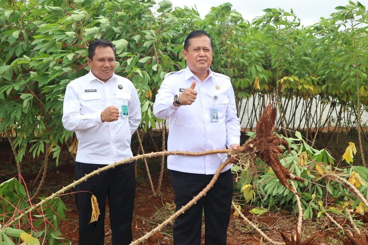 Produktif, Program Ketahanan Pangan Rutan Pelaihari Diapresiasi Kakanwil