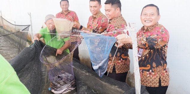 Lapas Narkotika Pangkalpinang Panen Perdana 50 Kg Ikan Lele