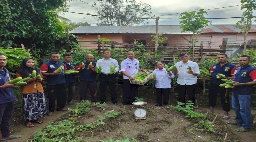 Lapas Wahai Panen 13 Kg Mentimun dan Tujuh Kg Pare