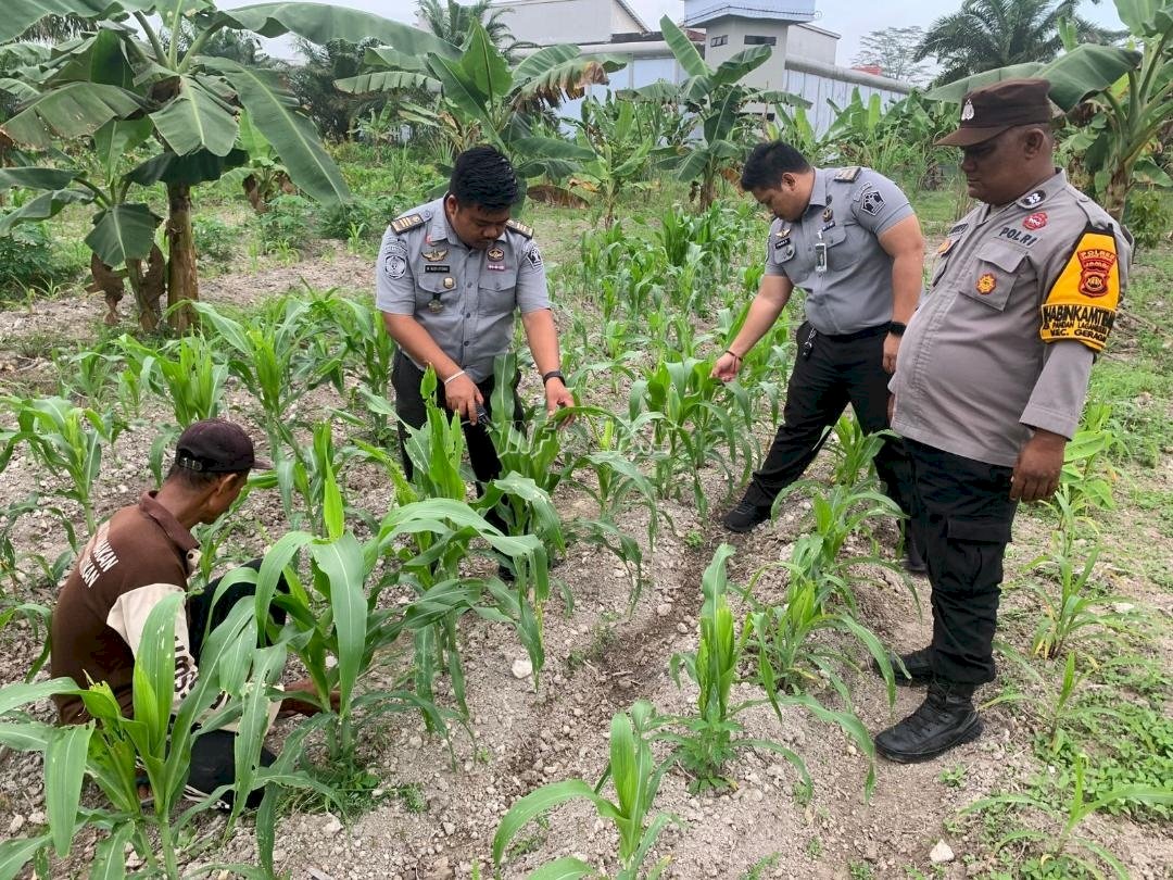 Kolaborasi Lapas Narkotika Muara Sabak dan Polsek Geragai Dukung Program Ketahanan Pangan