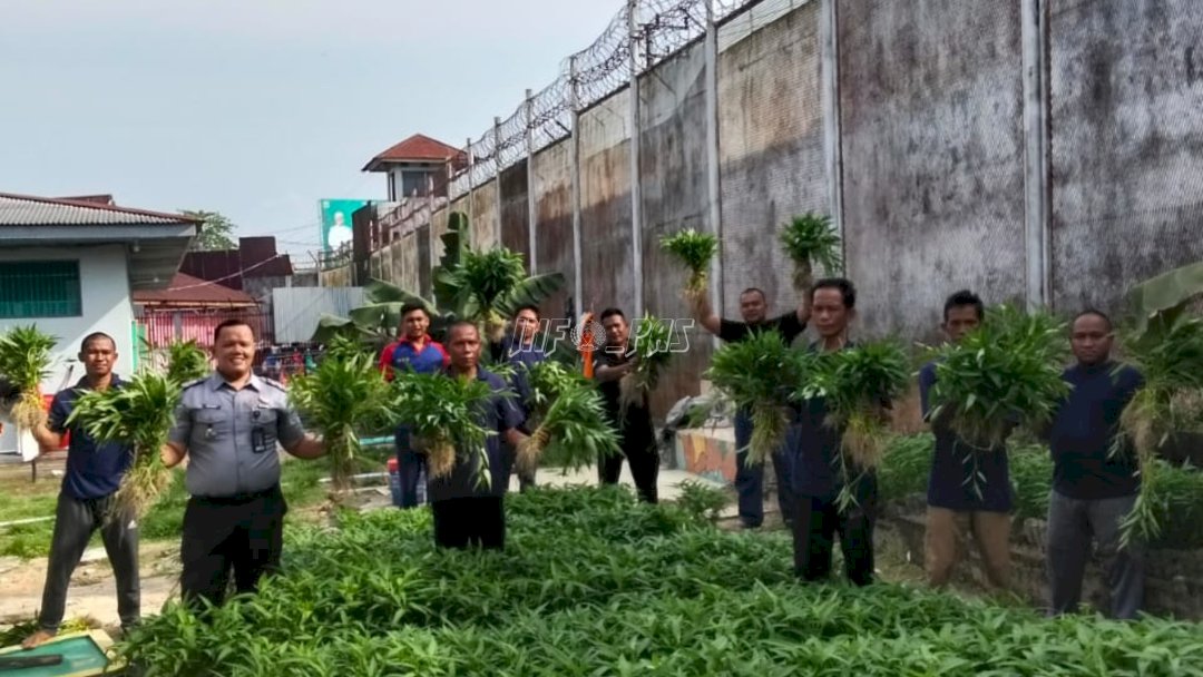 Berlimpah, Warga Binaan Lapas Jambi Panen 300 Ikat Kangkung