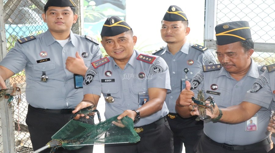 Lapas Narkotika Karang Intan Dukung Ketahanan Pangan lewat Budidaya Lobster Air Tawar