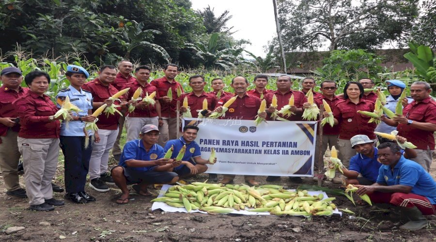 Lapas Ambon Sukses Panen 150 Kg Jagung Manis