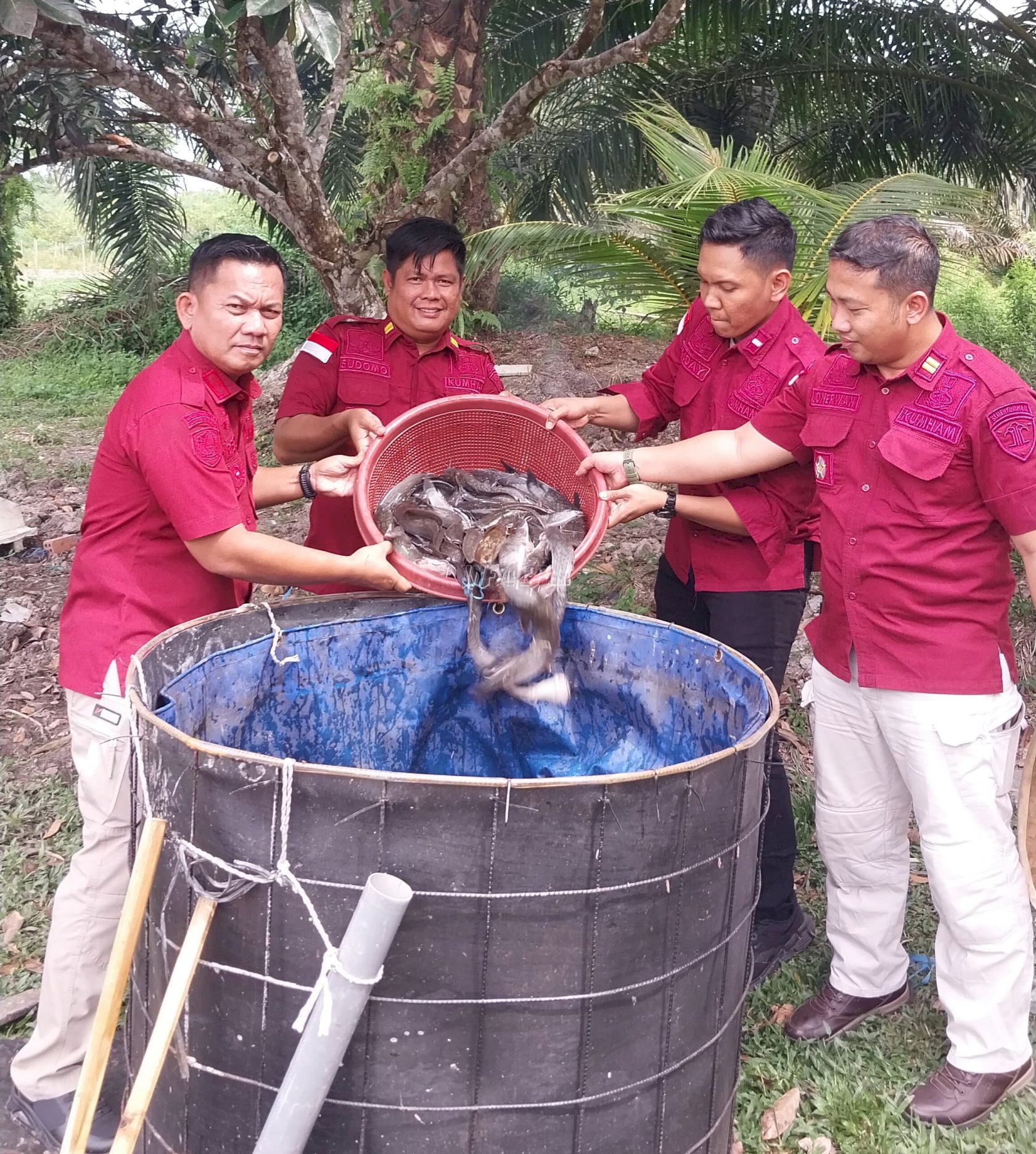 Lapas Sarolangun Panen 50 Kg Ikan Lele di Lahan SAE