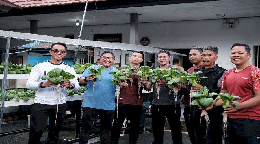 Panen Perdana Pakcoy Hidroponik, Bukti Keseriusan Lapas Tabanan Wujudkan Ketahanan Pangan