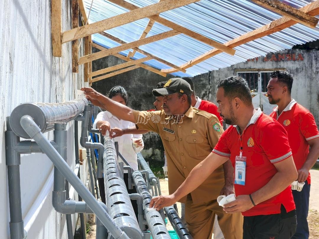 Lapas Tual Latih Warga Binaan Bertani Pakcoy Hidroponik