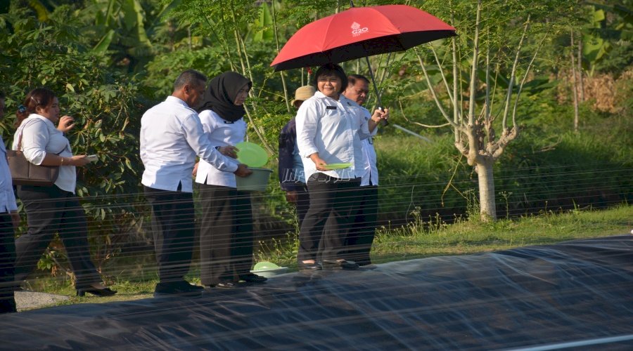 Kakanwil Ditjenpas Jateng dan Asdep Koordinasi Strategi Pelayanan Pemasyarakatan Tinjau Lapas Terbuka Kendal