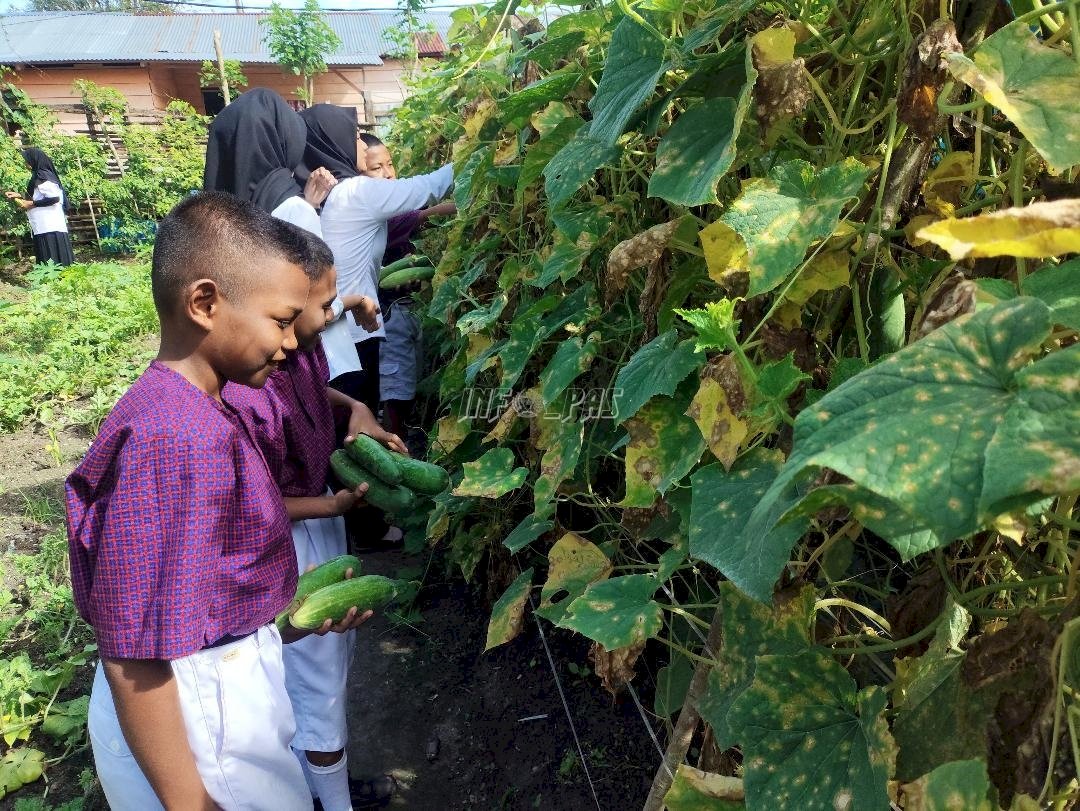 Peringati HAN, Lapas Wahai Ajak Anak Belajar Ketahanan Pangan