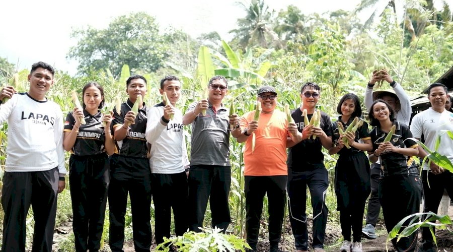 Manisnya Jagung Ketan Warnai Panen Perdana di SAE Lapas Tabanan