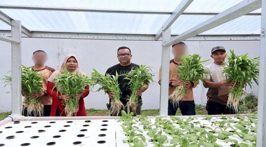 Sukses Panen Kangkung Hidroponik, Kepala LPKA Ambon Puji Anak Binaan