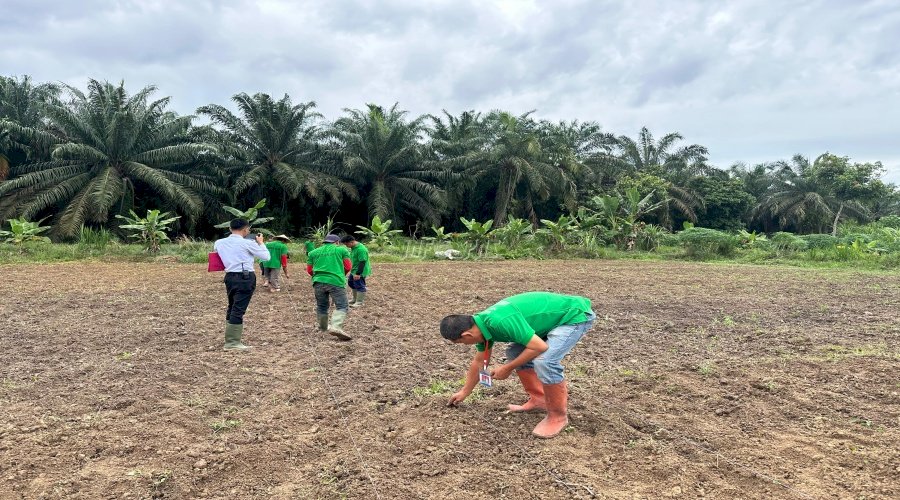 Warga Binaan Lapas Narkotika Muara Sabak Praktik Langsung Penanaman Jagung Hibrida