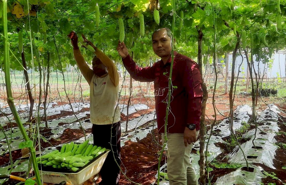Rutan Pelaihari Panen Pari Lagi, Mantapkan Kemandirian Warga Binaan